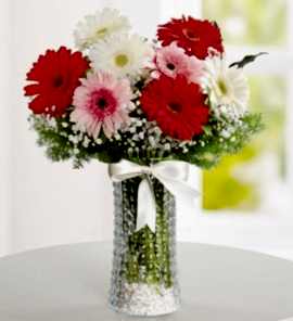 Cam Vazoda Gerbera Arajmanı