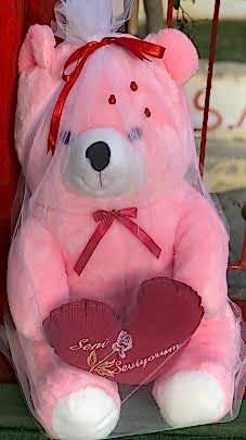 Peluş Ayıcık 