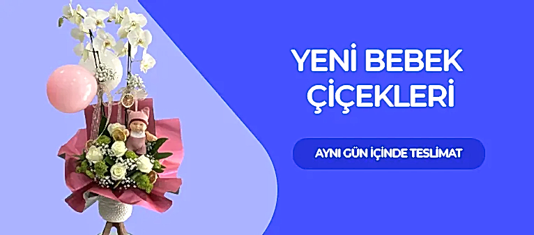 Yeni Bebek Çiçekleri