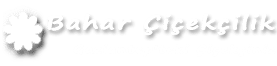 Bakı Çiçek