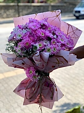 Pembe Papatya