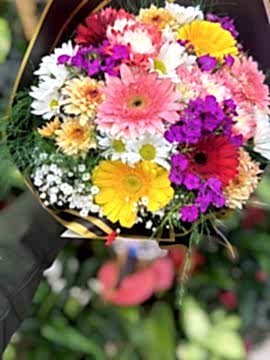 Renkli Gerbera & Papatya Buketi